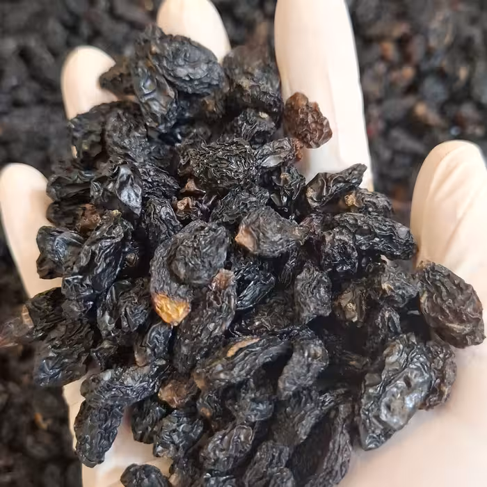 مویز سیاه گوشتی درشت ،مدل ترکمنی دربسته های 500 گرمی تمیز و شسته شده