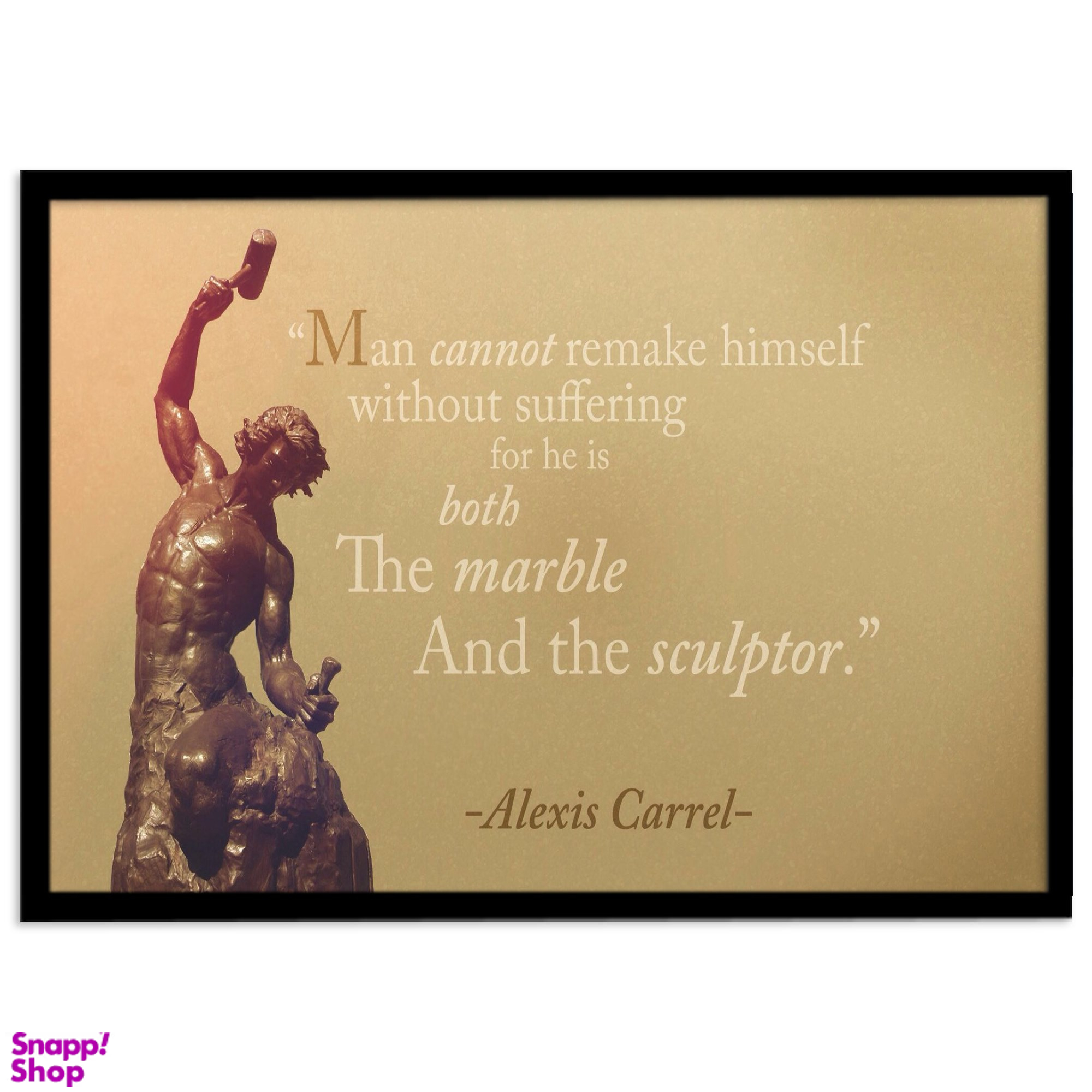 تابلو بکلیت طرح صحبتی مثبت انگیزشی انگلیسی از الکسیس کارل  Alexis Carrel مدل B-s1842