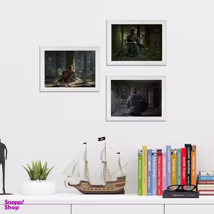 تابلو طرح Last of us 2 مجموعه 3 عددی