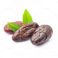 عکس دانه کاکائو باکیفیت | گرافیک با طعم تربچه