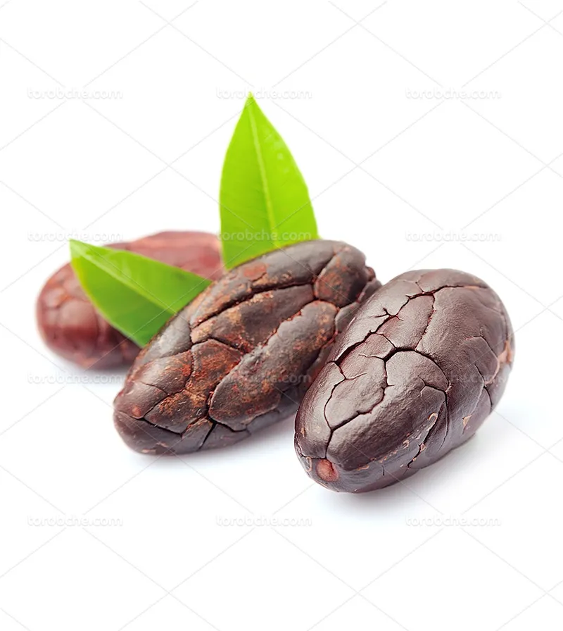 عکس دانه کاکائو باکیفیت | گرافیک با طعم تربچه