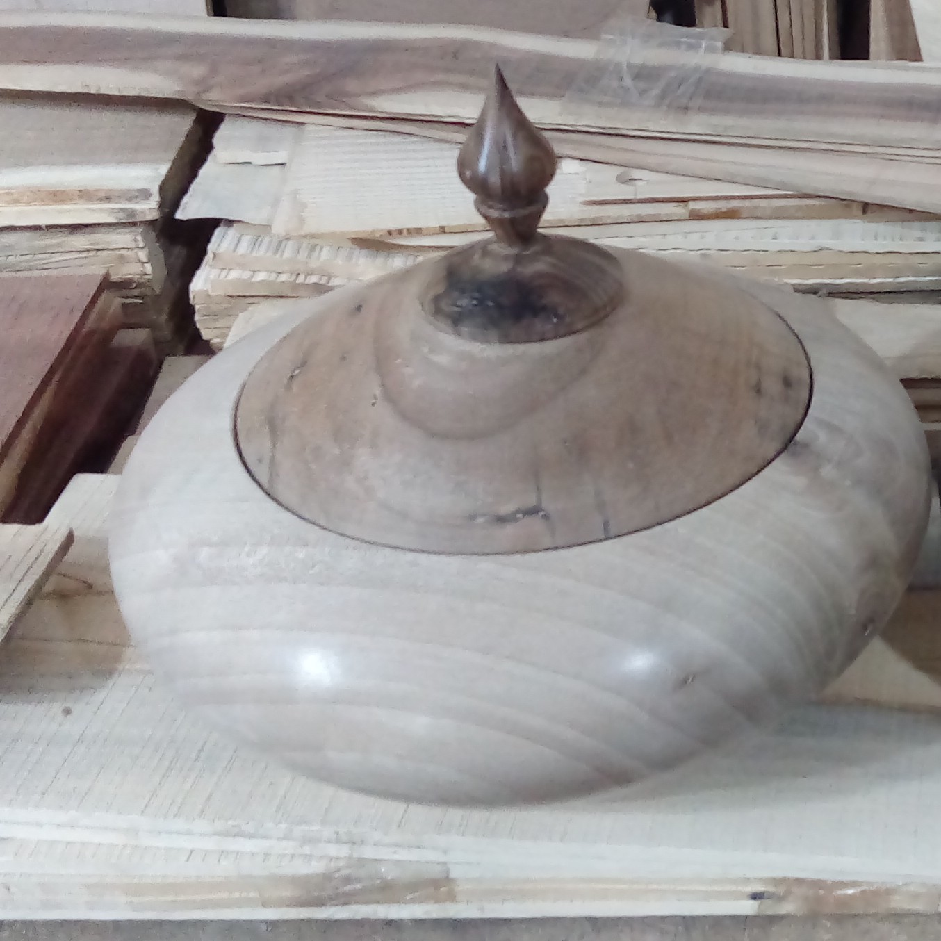 شکلات خوری