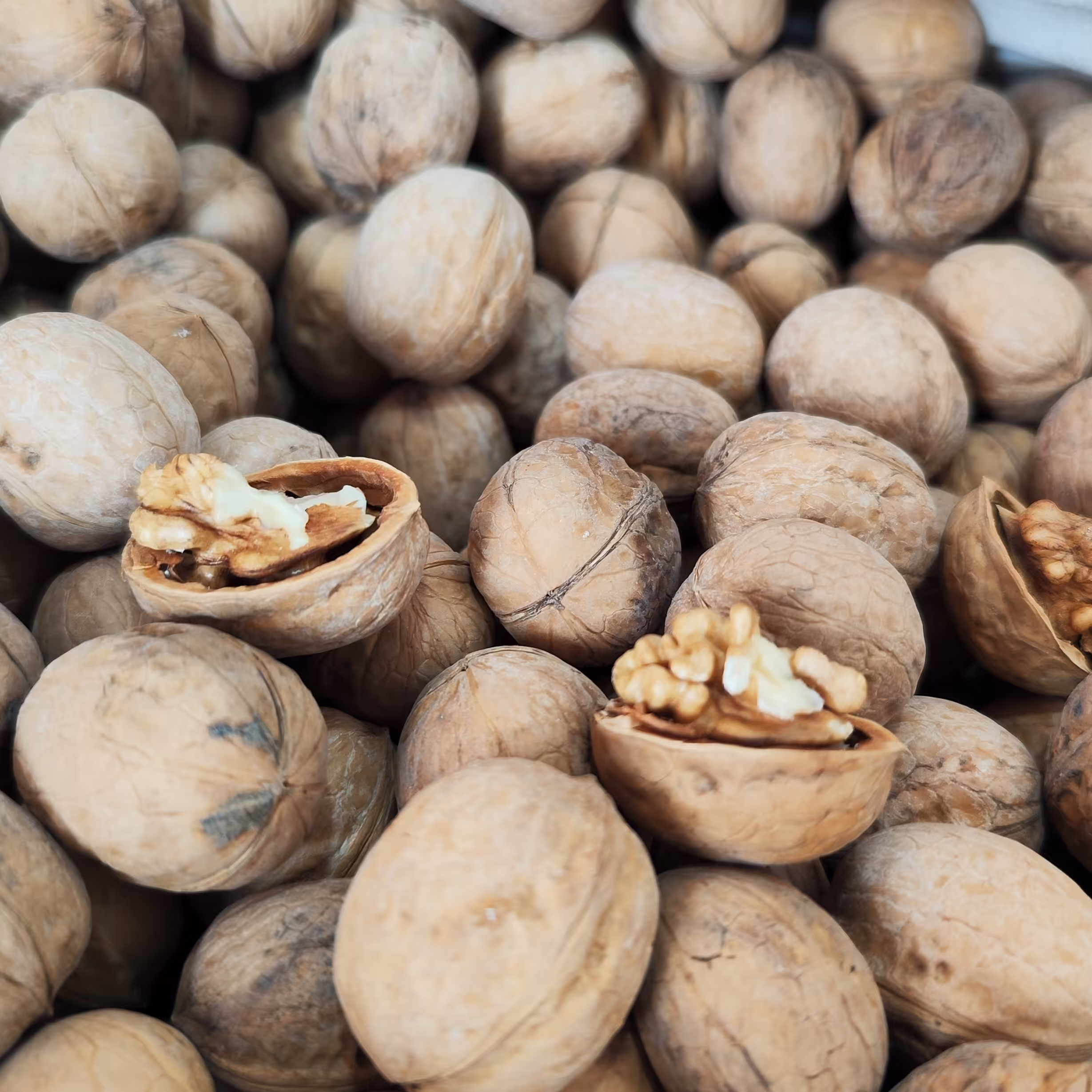 گردو پوست کاغذی  (بسته 5 کیلویی)