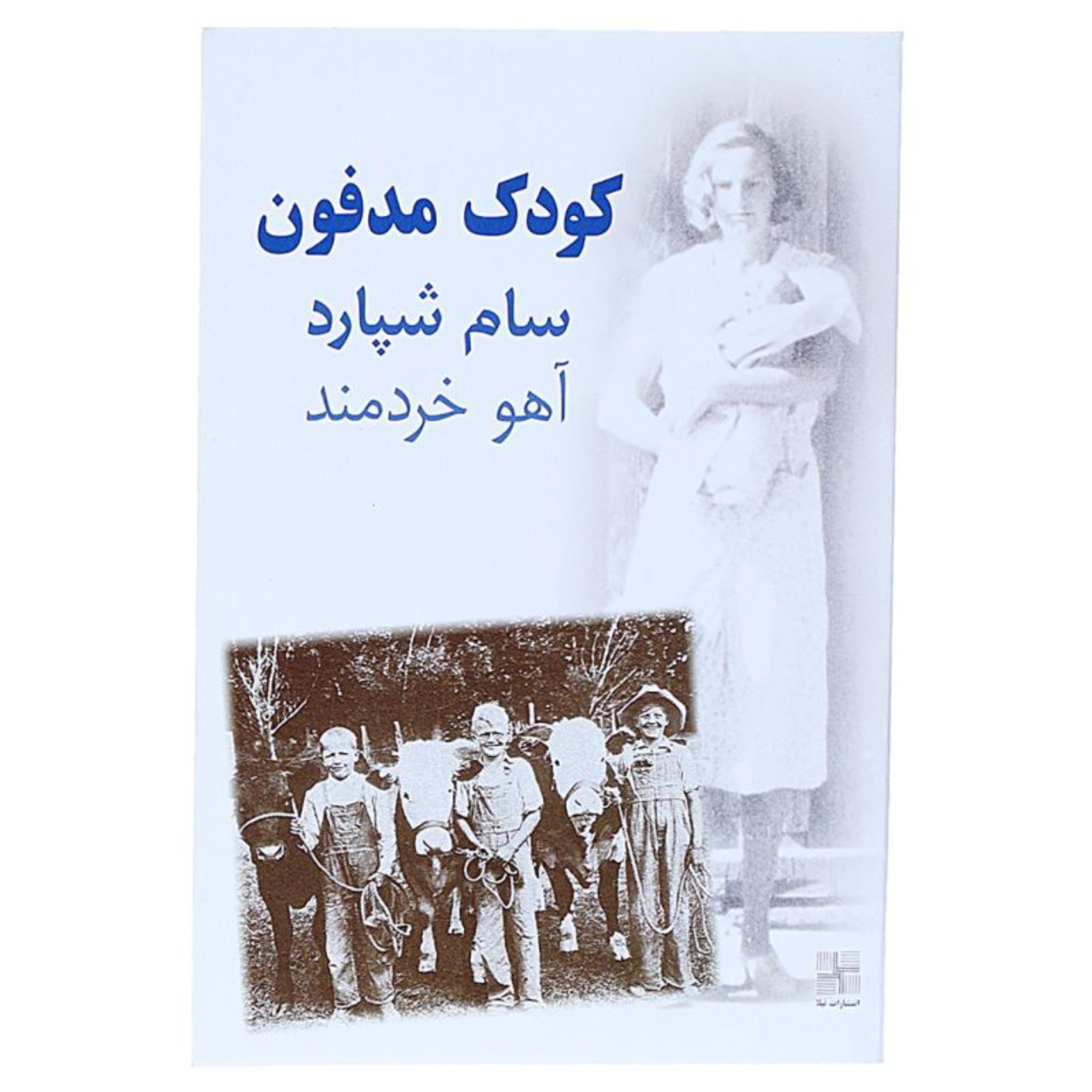 کتاب کودک مدفون اثر سام شپارد نمایشنامه