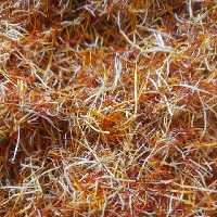 ریشه زعفران سرگل اعلای قائنات خراسان (5 بسته یک مثقالی) 