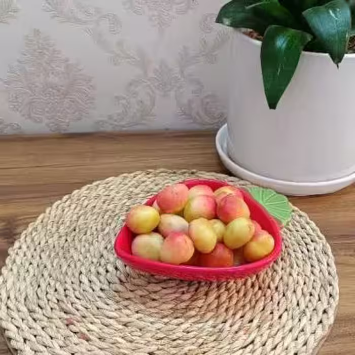 کاسه گود طرح توت فرنگی