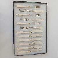 کارد میوه و چنگال باربنددار صدرا کرم رنگ