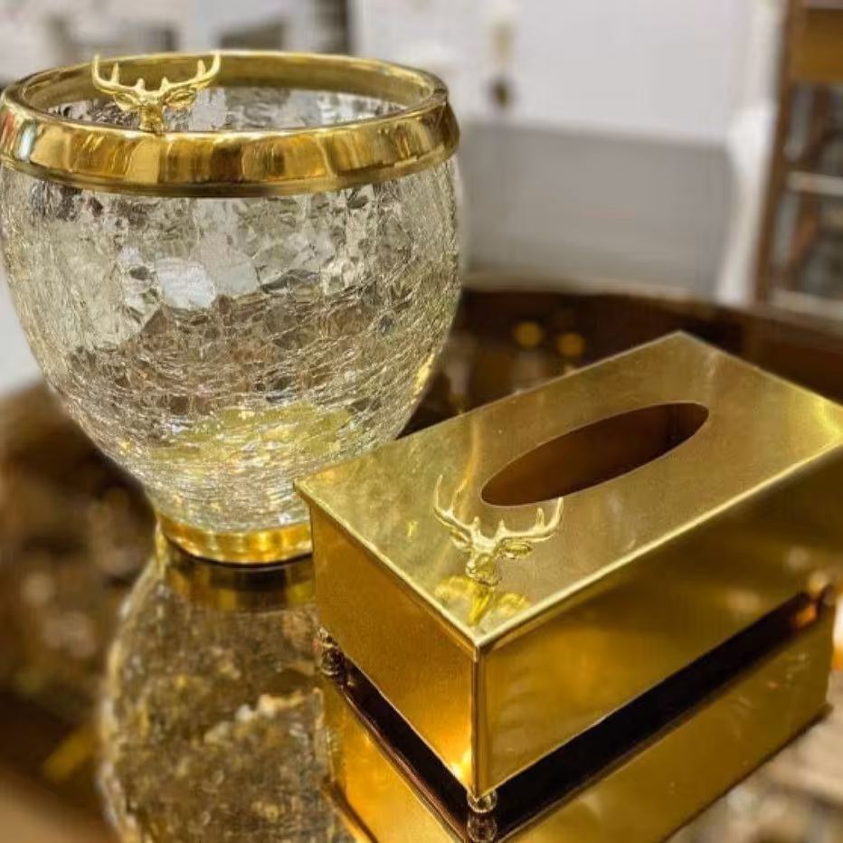 سطل و دستمال شیشه ابگز
