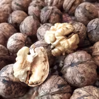 گردوی درجه یک تویسرکان ارگانیک و پرچرب از دل باغ های گردو ،لطفا قبل از سفارش با غرفه دارهماهنگ کنید3کیلو گرم