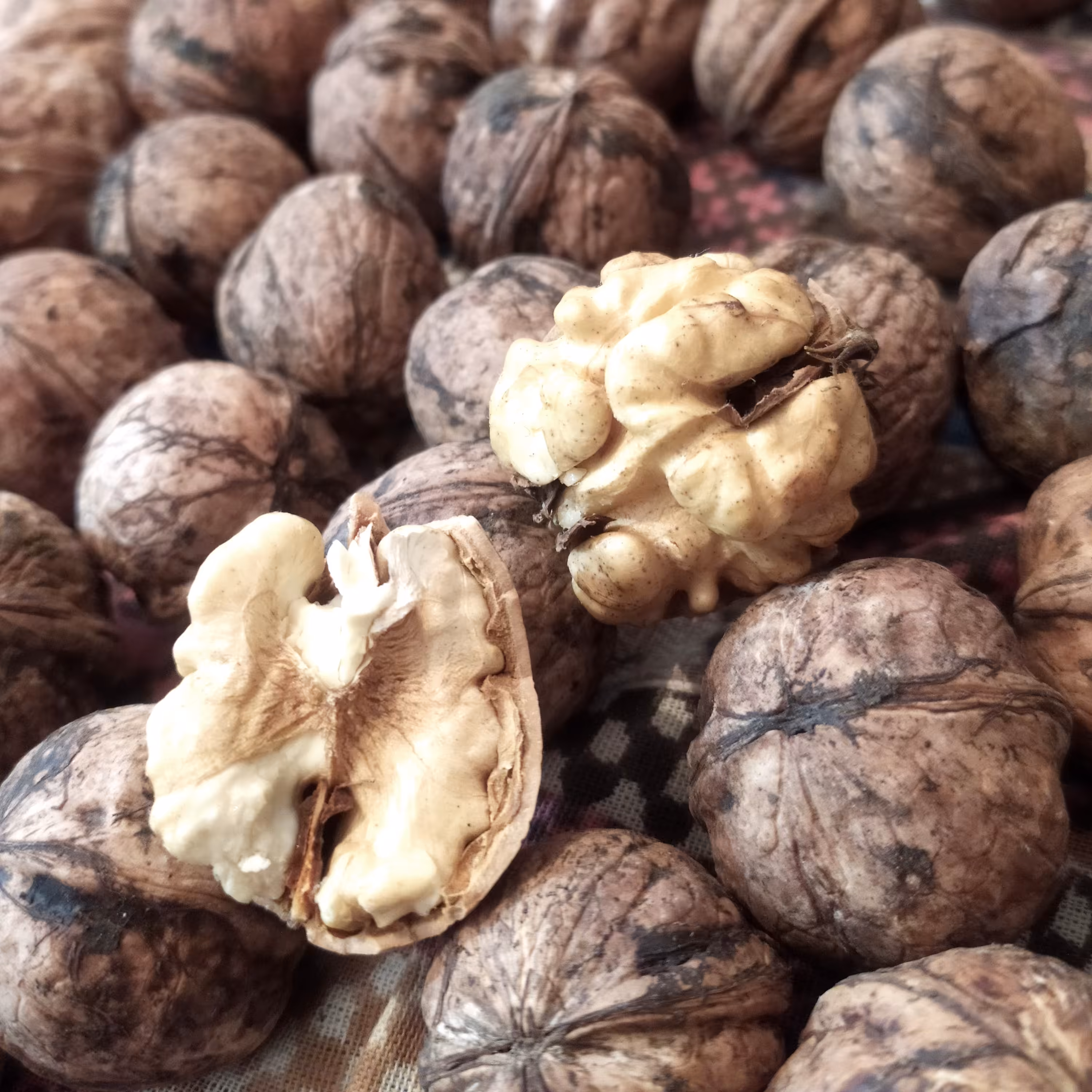 گردوی درجه یک تویسرکان ارگانیک و پرچرب از دل باغ های گردو ،لطفا قبل از سفارش با غرفه دارهماهنگ کنید3کیلو گرم