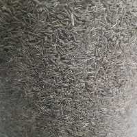 زیره سبز(5کیلویی)