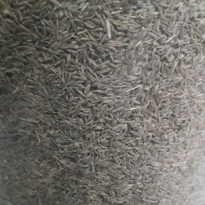 زیره سبز(5کیلویی)