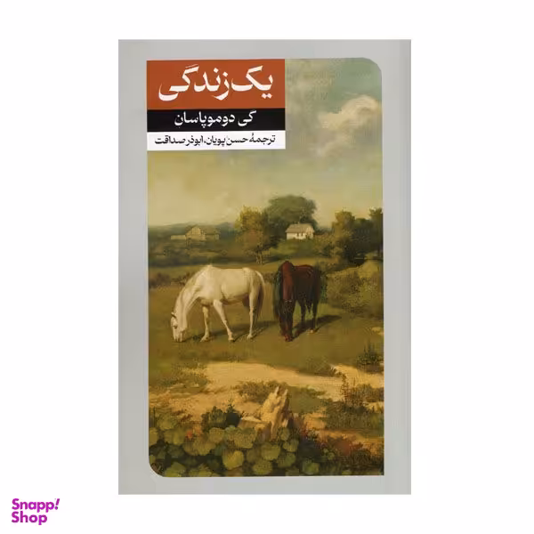 کتاب یک زندگی اثر گی دوموپاسان نشر  امیرکبیر