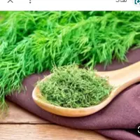 شوید خشک شده راوین