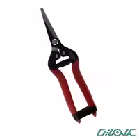 قیچی باغبانی (میوه چین) واستر مدل 009