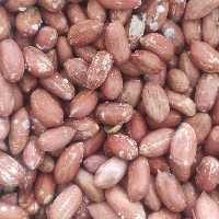 بادام زمینی آستانه درجه یک(500گرم)