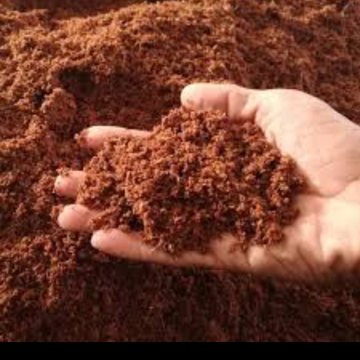 کوکوپیت سریلانکا بسته ی  8 لیتری (پس کرایه)