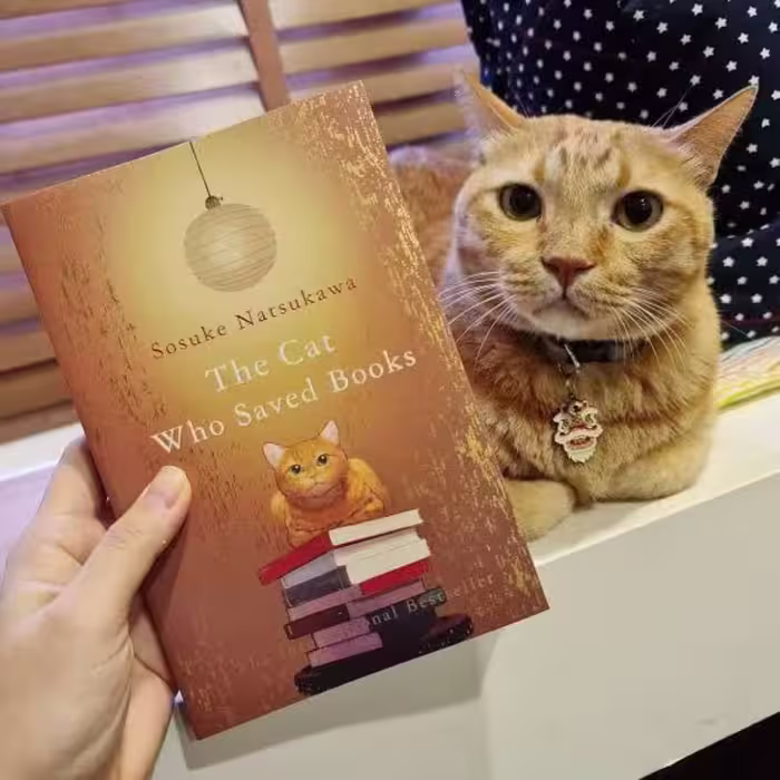 کتاب the cat who saved books کتاب گربه ای که کتاب ها را نجات داد.به زبان انگلیسی.