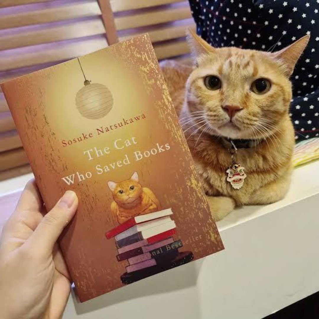کتاب the cat who saved books کتاب گربه ای که کتاب ها را نجات داد.به زبان انگلیسی.
