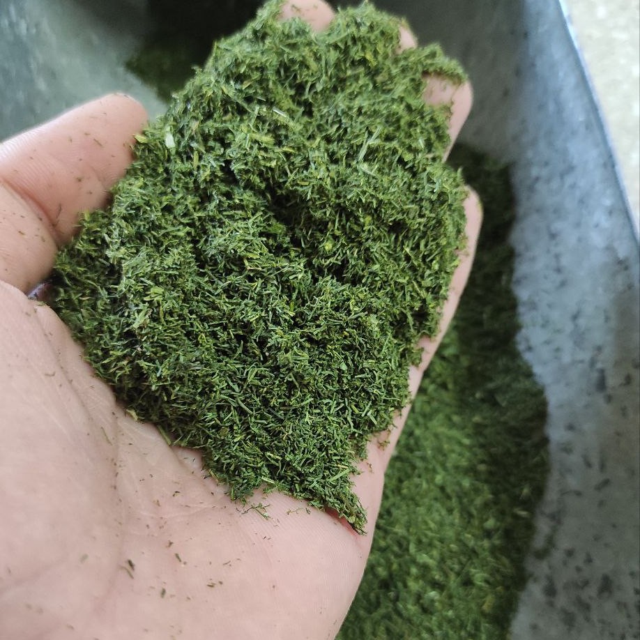 شوید خشک الماس کویر