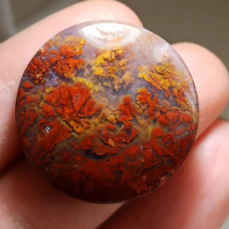 عقیق شجر پاییزی  درشت طبیعی خوش رنگ و نقش کاری بی نظیر  و خاص 