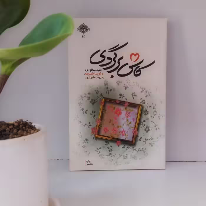 کتاب کاش برگردی