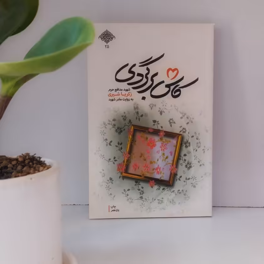 کتاب کاش برگردی