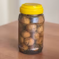 ترشی گوجه سبز