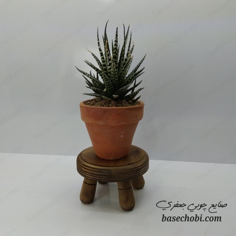 چهار پایه دکوری خراطی شده چوبی مناسب برای کاکتوس و دیزاین مقاوم در برابر رطوبت ارتفاع 6 و قطر 10 سانتی متر