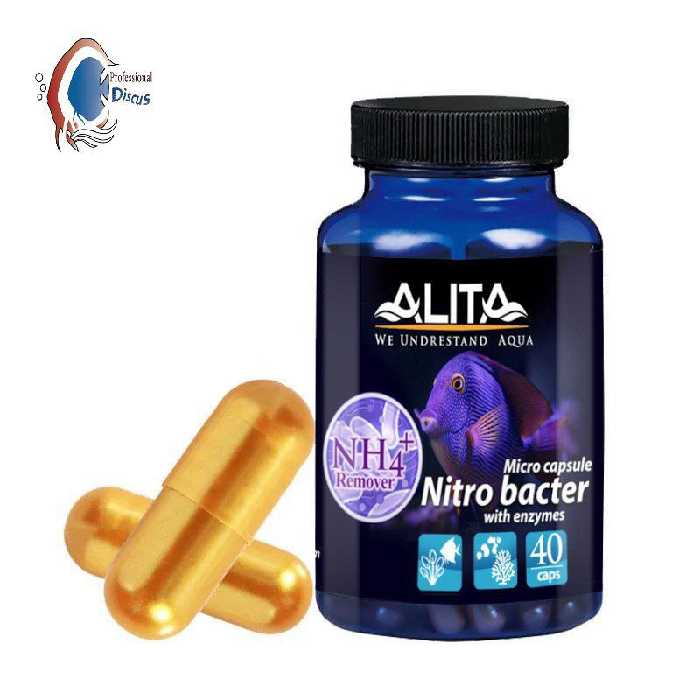باکتری کپسولی آلیتا با حذف آمونیاک سمی آب 40 عددی