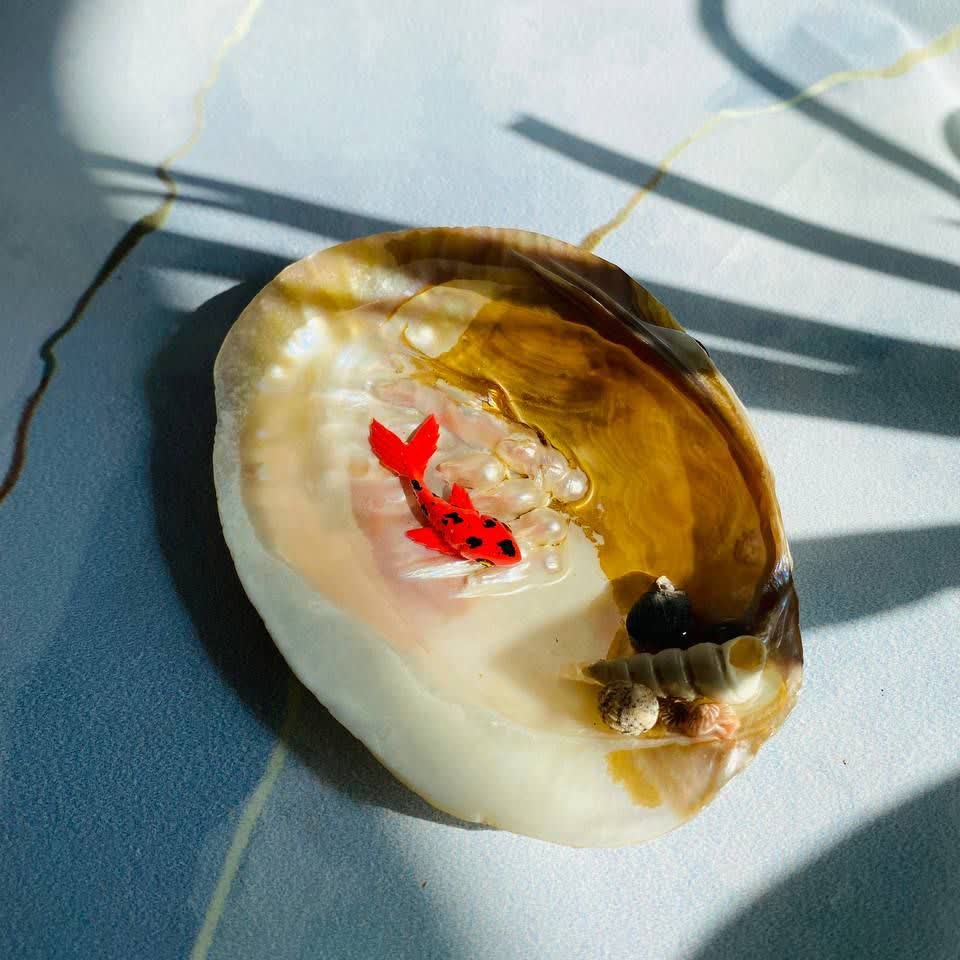 تنگ صدف ماهی عید 