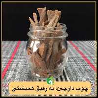 چوب دارچین قلم 100 گرمی