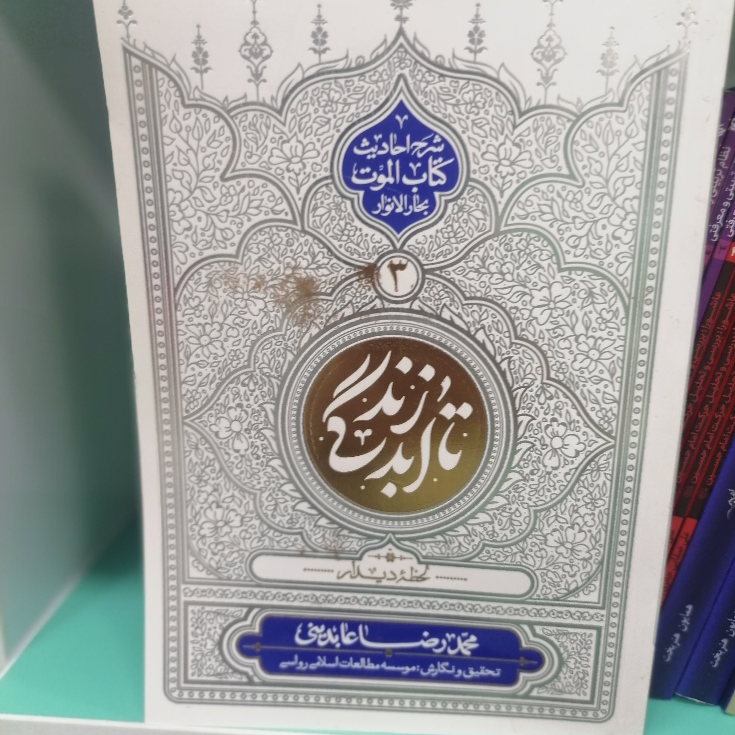 کتاب تا ابد زندگی 3 لحظه دیدار

نویسنده محمدرضا عابدینی نشر معارف 