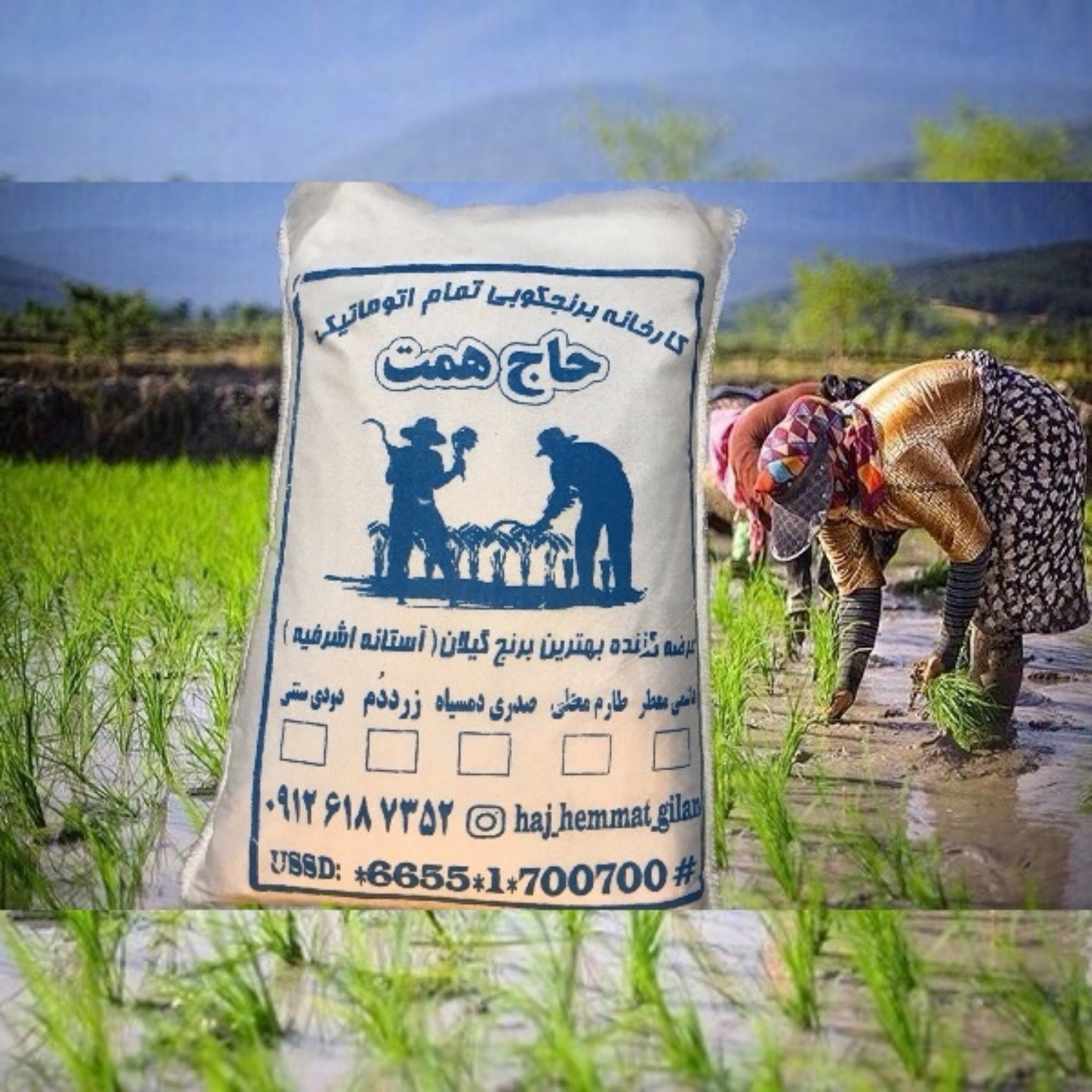 برنج فجر معطر امساله (60 کیلو3عدد20کیلویی)