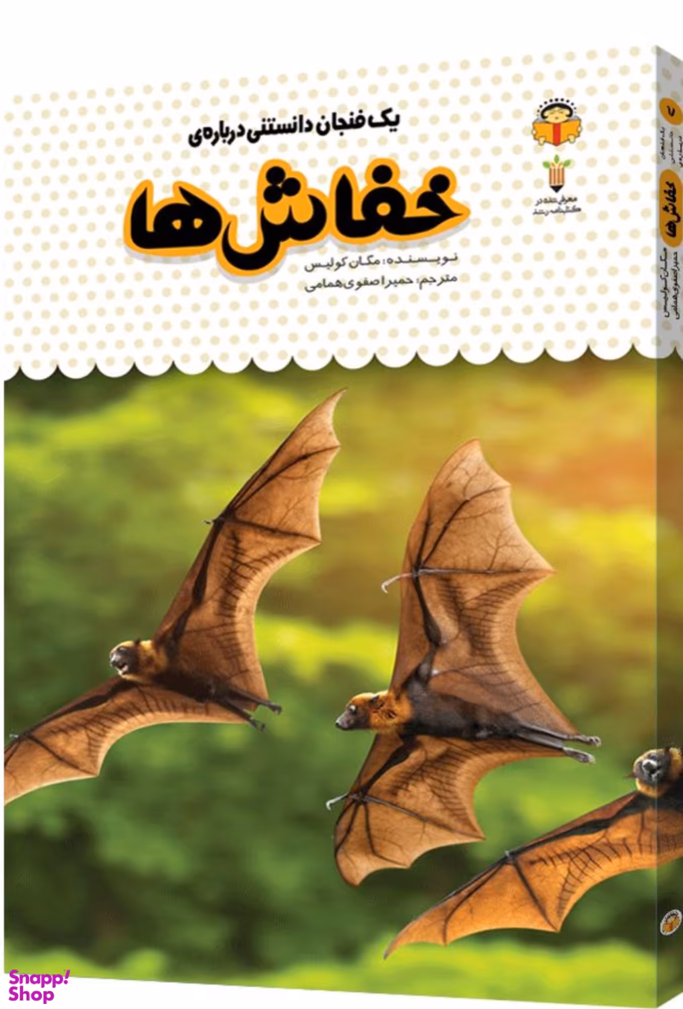 کتاب یک فنجان دانستنی درباره ی خفاش ها اثر مگان کولیس انتشارات نشر نوشته