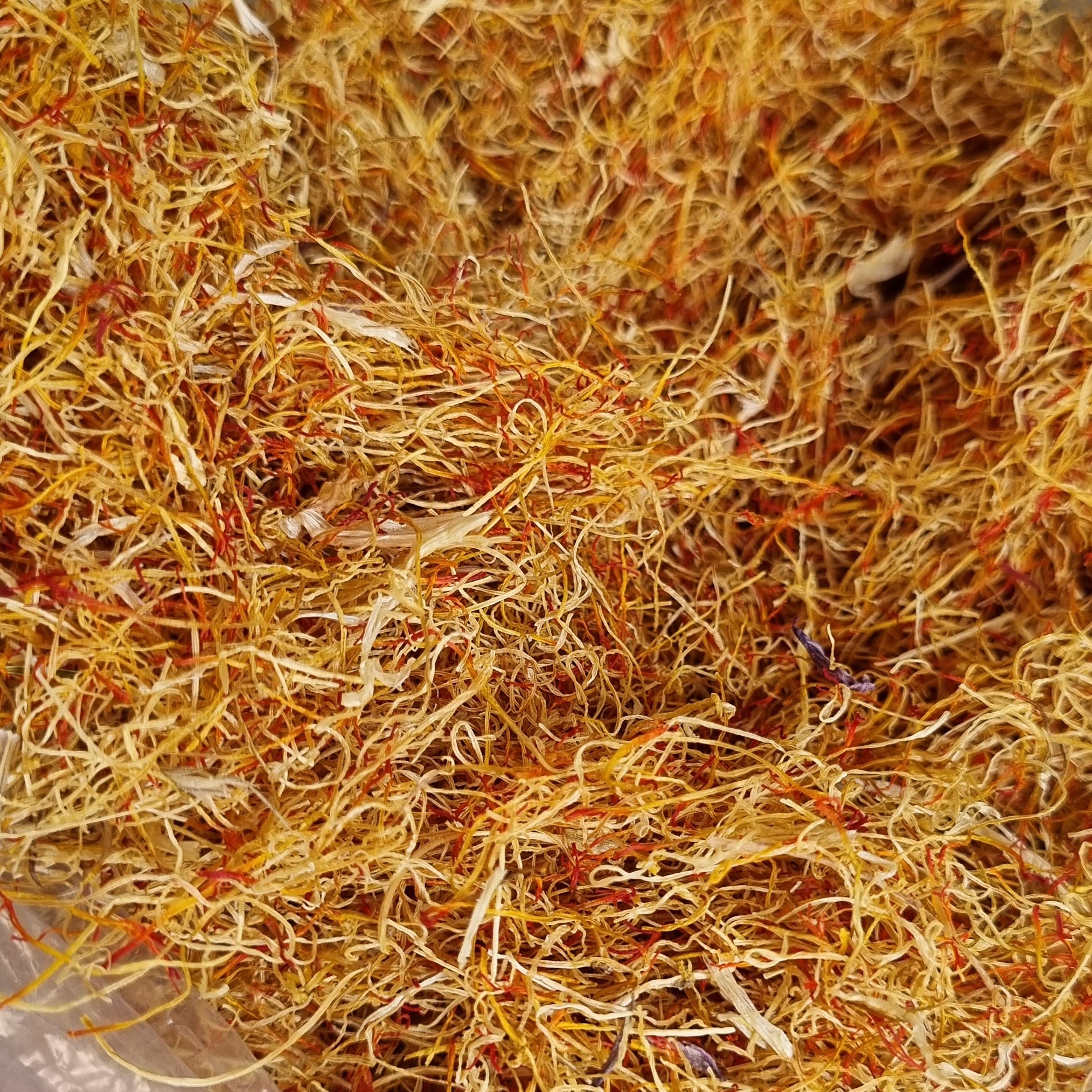 ریشه زعفران پرسرخ