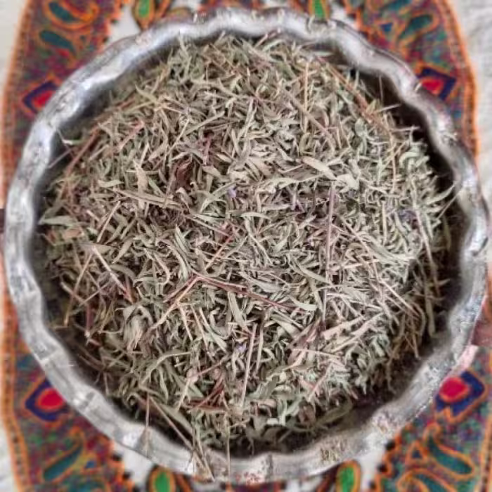 آلاله کوهی (کرمانی)