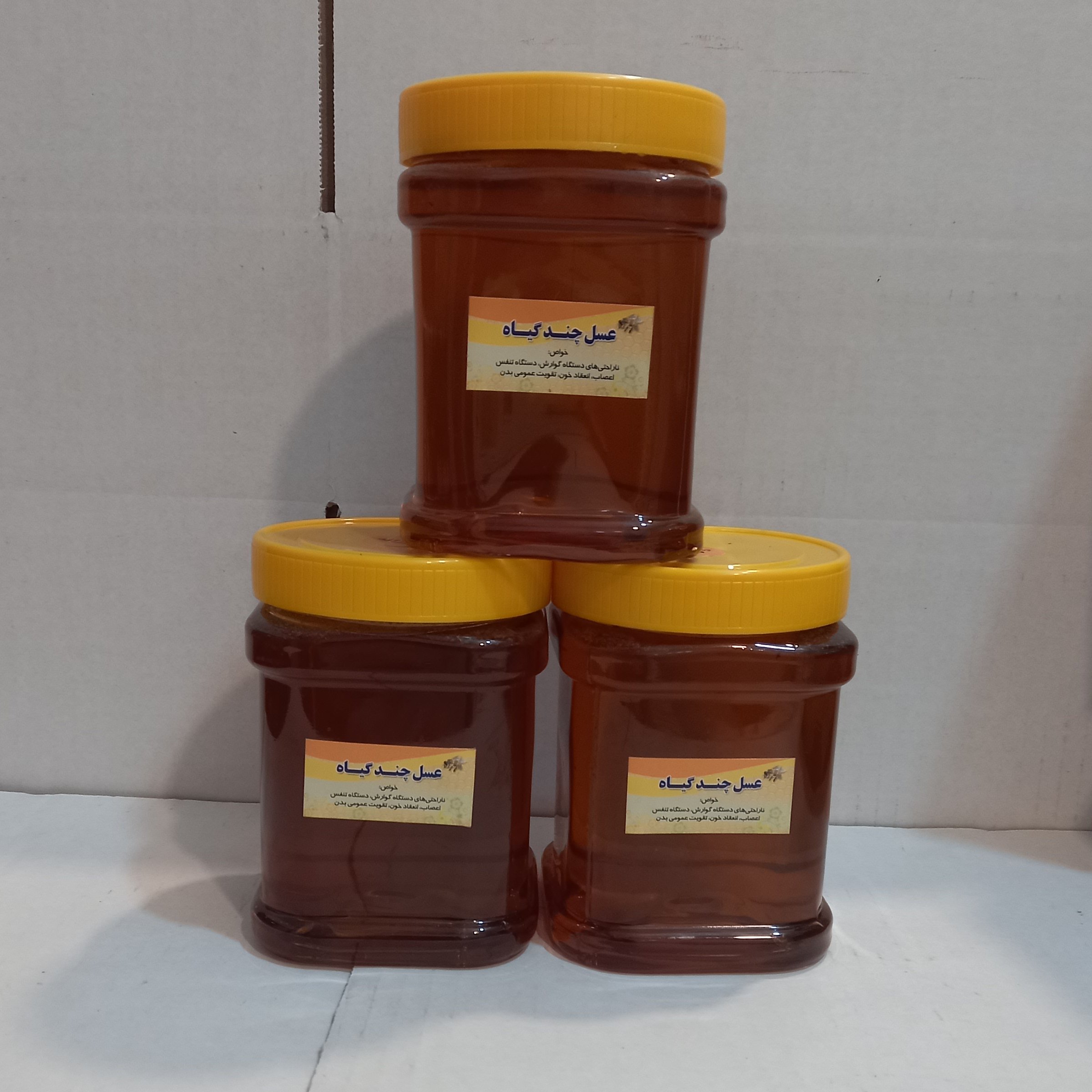 عسل چند گیاه(تغذیه) 1کیلویی