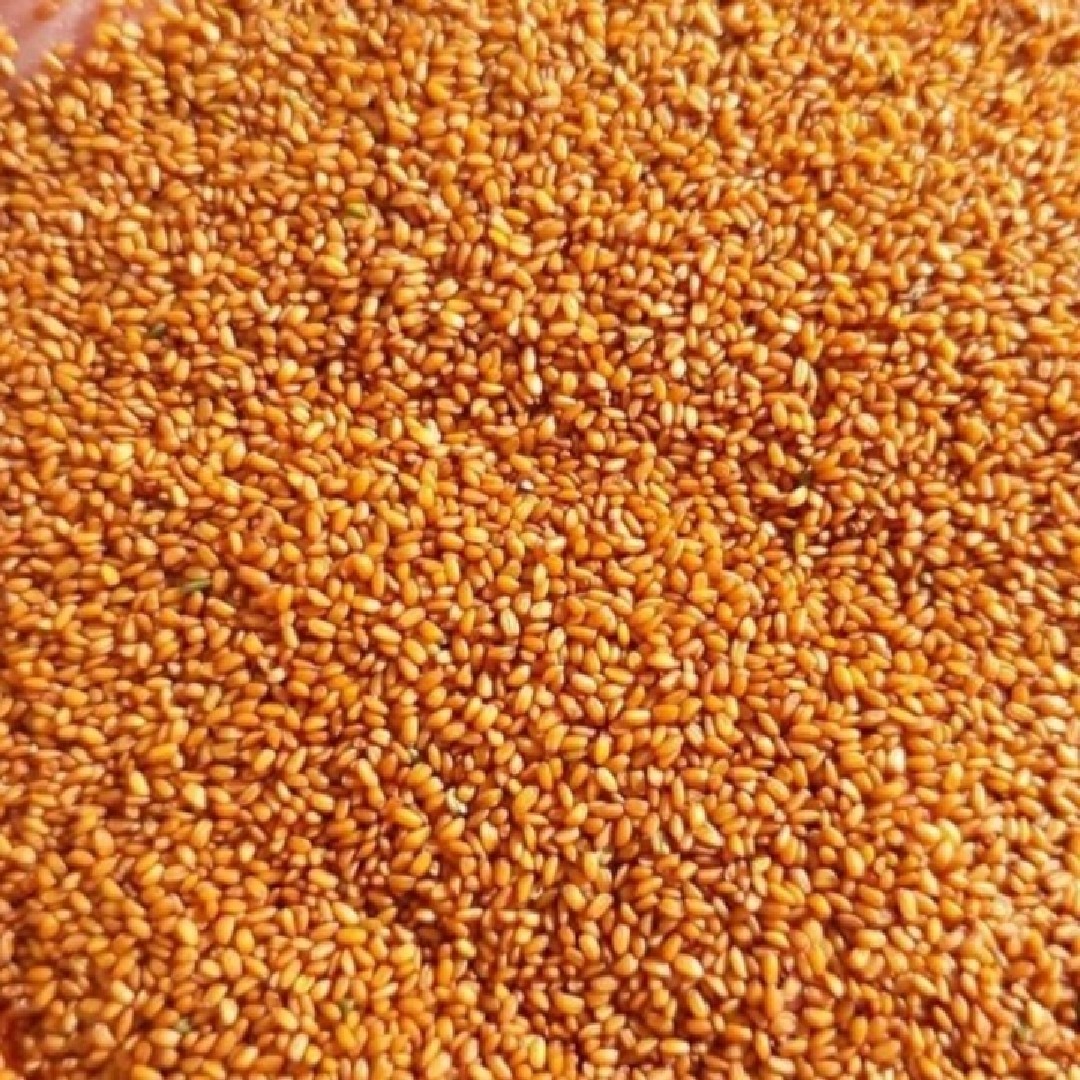 خاکشیر اعلا  درجه یک همدان ارسال رایگان 98درصد گارانتی مرجوعی بدون قید وشرط