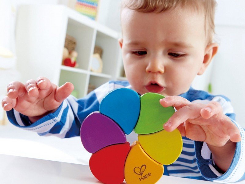 پازل  چوبی hape کدE0014