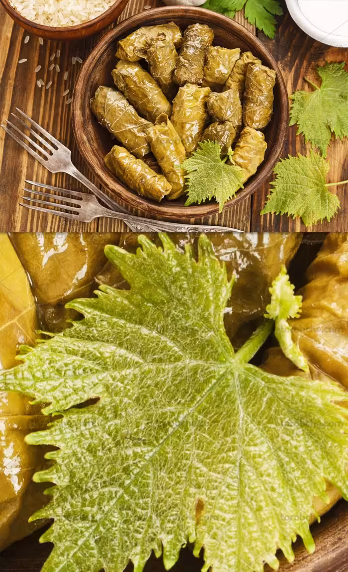 عکس دلمه برگ مو خوش مزه | گرافیک با طعم تربچه