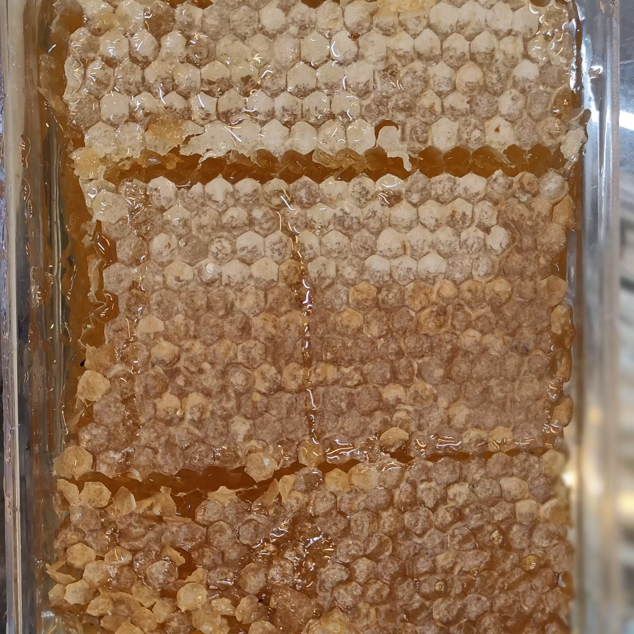 موم عسل خراسان شمالی