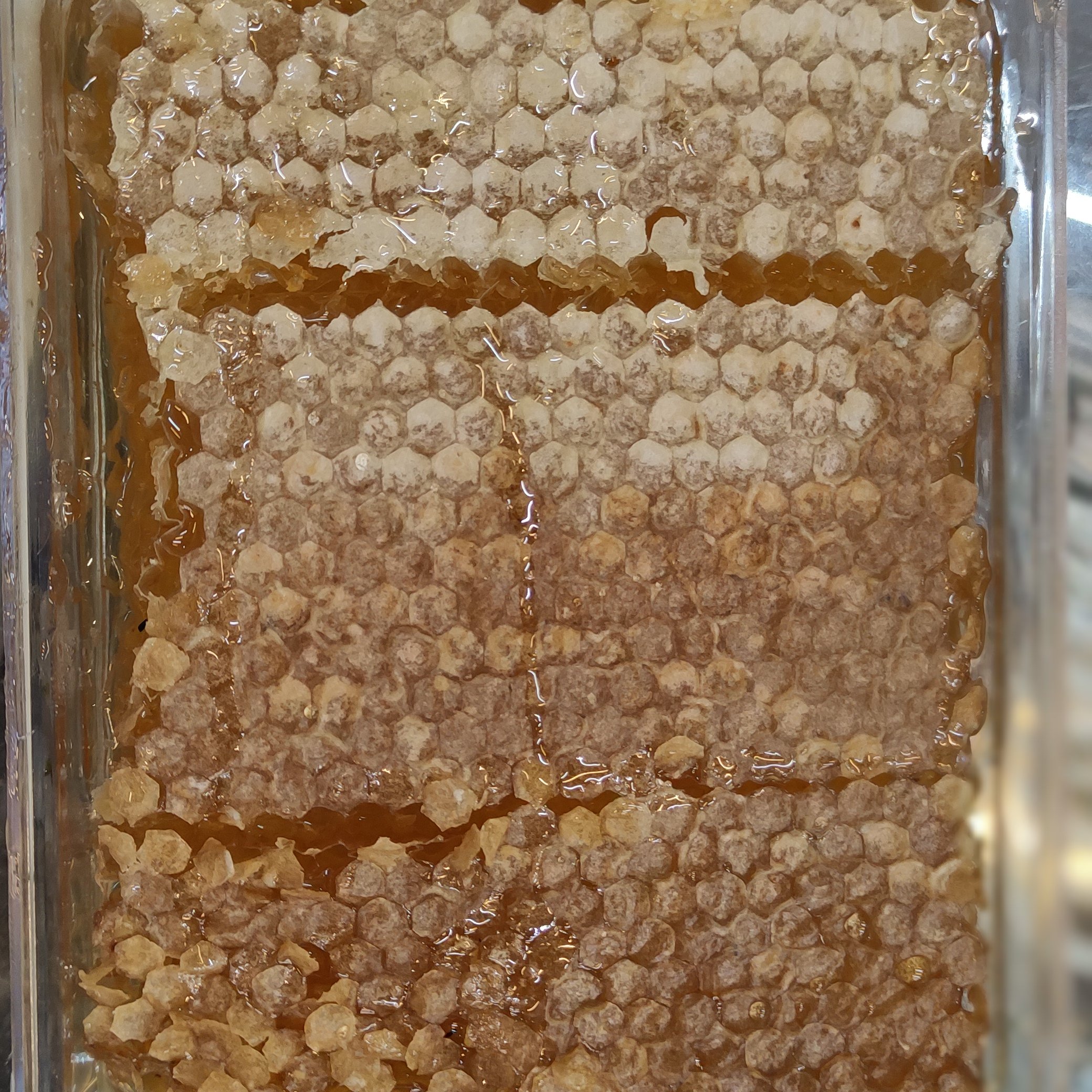 موم عسل خراسان شمالی