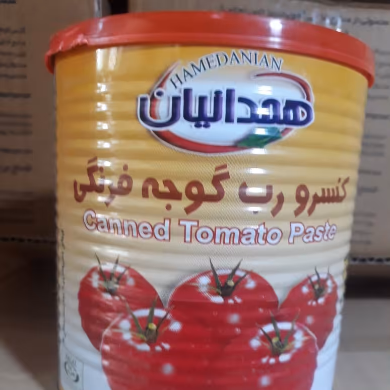  رب گوجه فرنگی همدانیان کنسرو 800 گرمی