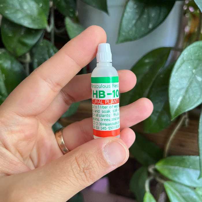 هورمون ژاپنی hb101 سایز کوچک 6 سی سی