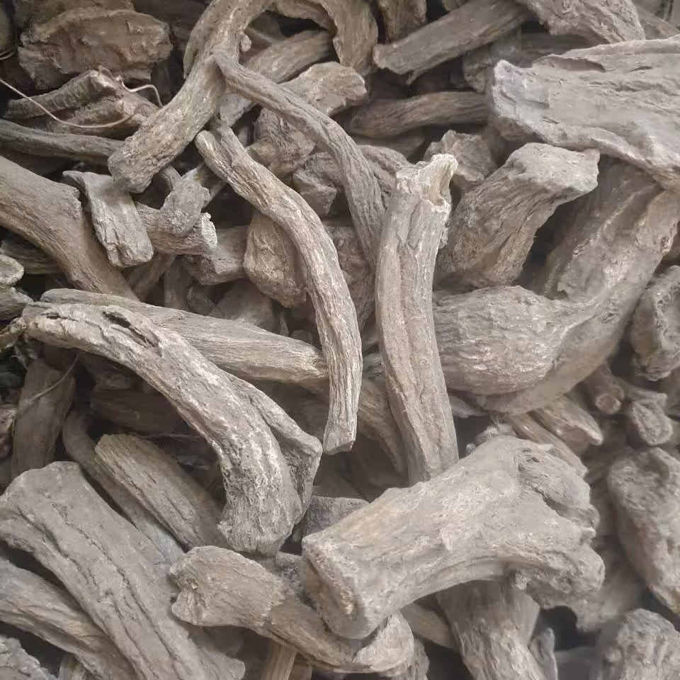 قسط تلخ 200 گرم 