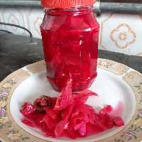 ترشی کلم قرمز 