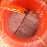 شلنگ 2 شفاف ( 5 متری )