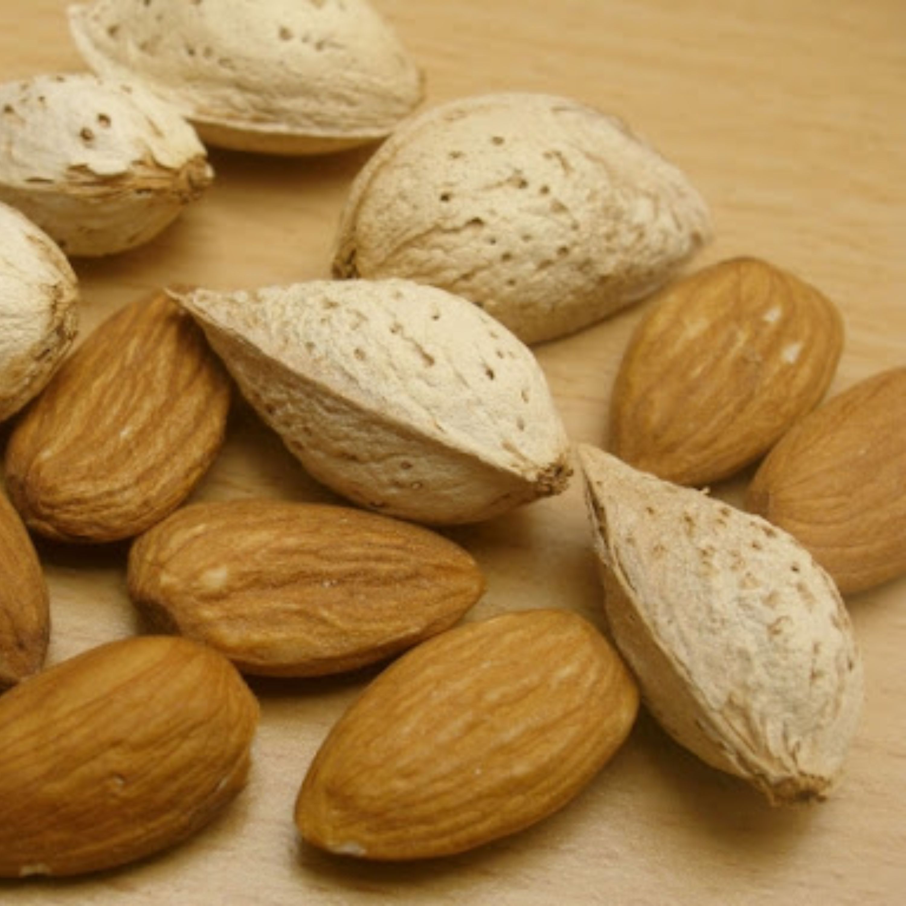 بادام کاغذی 1000 گرمی