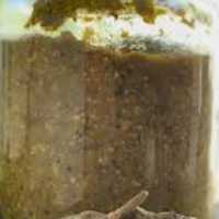 پوره بادمجان کبابی نیم کیلویی ( 500 گرمی  )